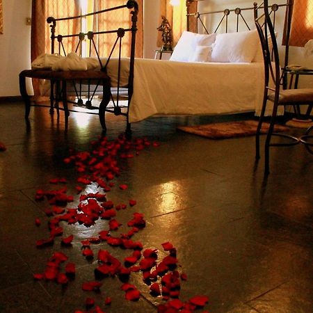 Hotel Caicara Bistro E Eventos Ltda Itaperuna Eksteriør billede
